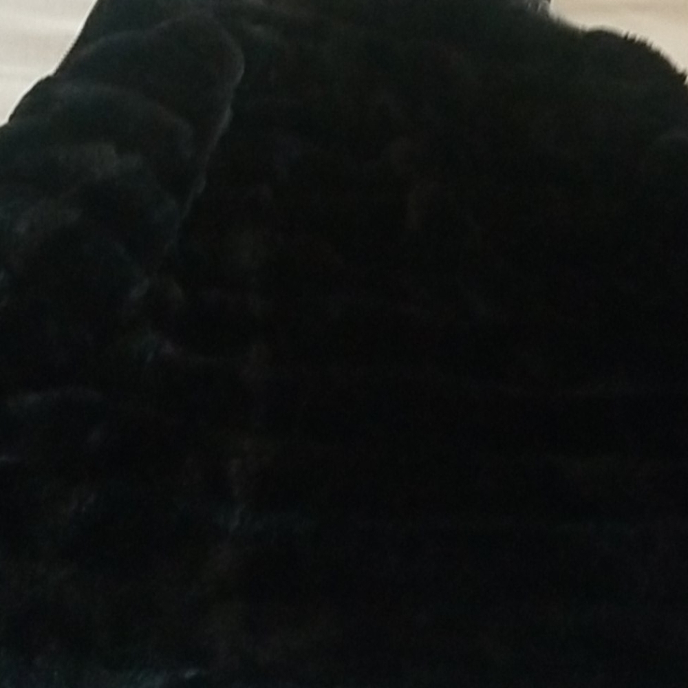 Jacket - Picture 4 of 5